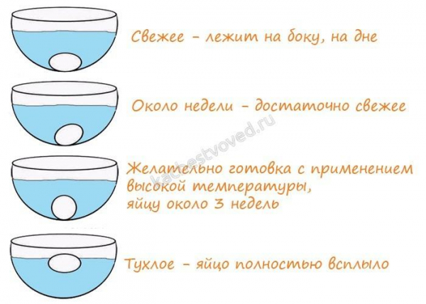 Как проверить свежесть яиц в домашних условиях