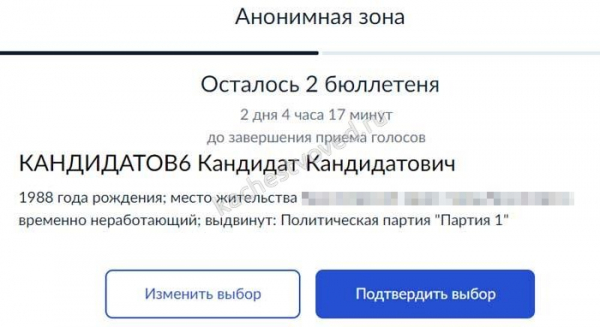 Инструкции по голосованию ЭГ